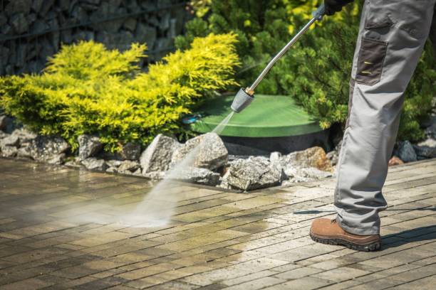Best Solar Panel Cleaning  in Ladd, IL