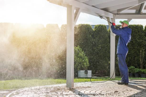 Best Post-Construction Pressure Washing  in Ladd, IL