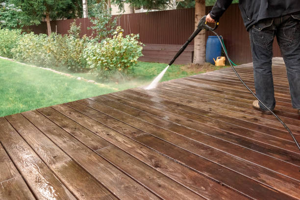 Best Patio and Deck Pressure Washing  in Ladd, IL