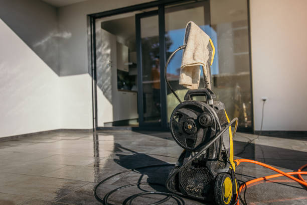 Best Spring Cleaning  in Ladd, IL