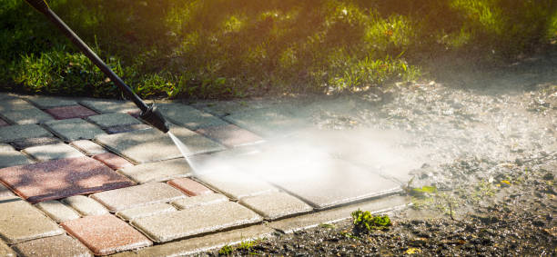 Best Animal Enclosure Cleaning  in Ladd, IL