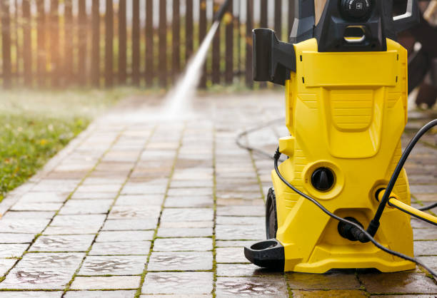 Best Fleet Vehicle Washing  in Ladd, IL