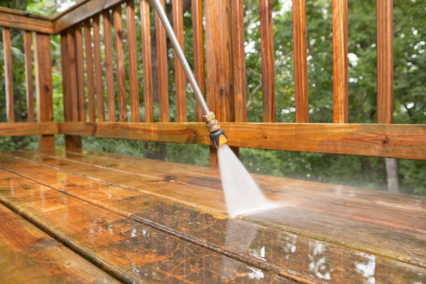 Best Parking Lot and Garage Cleaning  in Ladd, IL