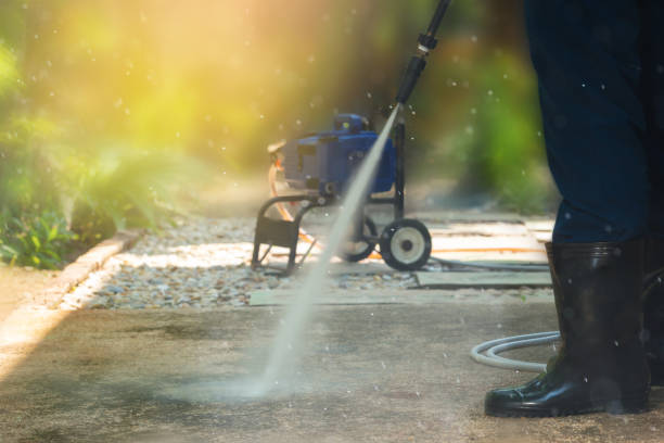 Best Gutter Cleaning  in Ladd, IL